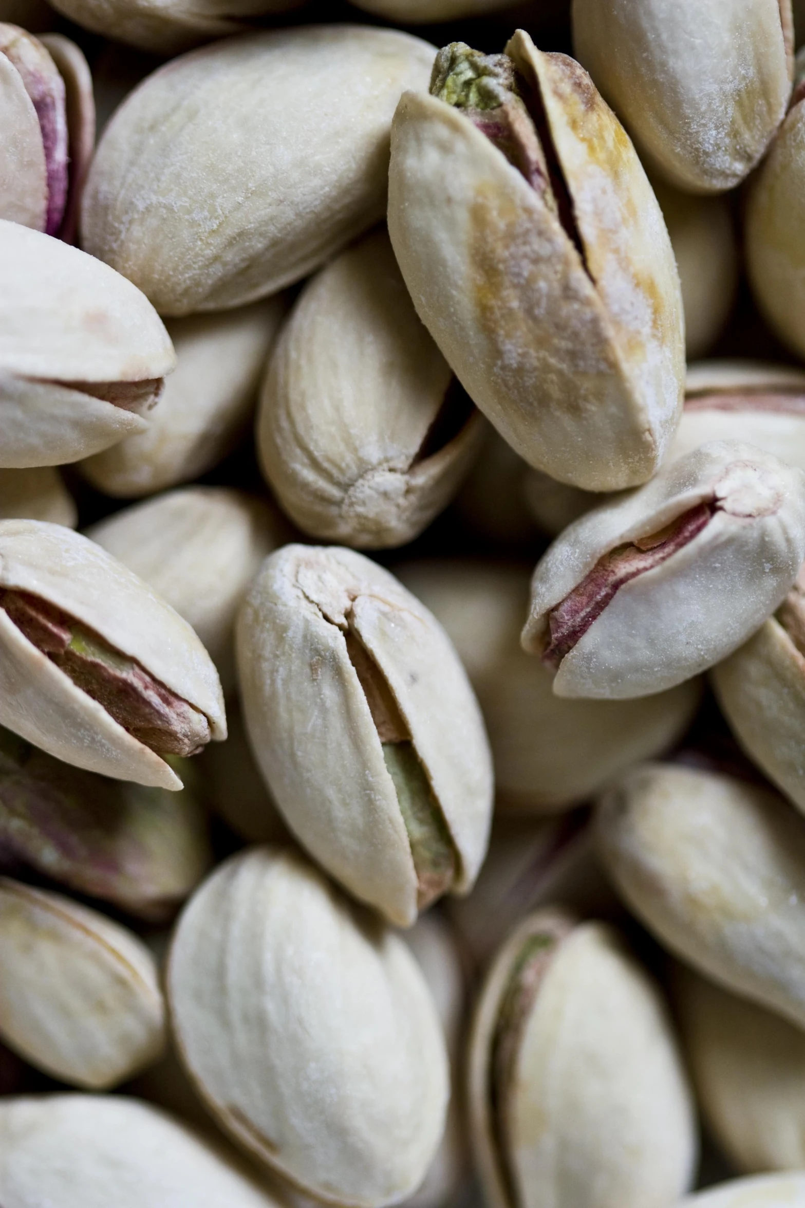 a pile of nuts that are all white