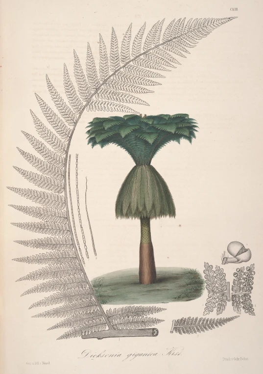 a print of a palm tree with two leaf shapes