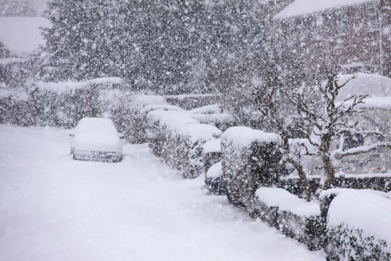 snow is falling on cars and trees in a residential area