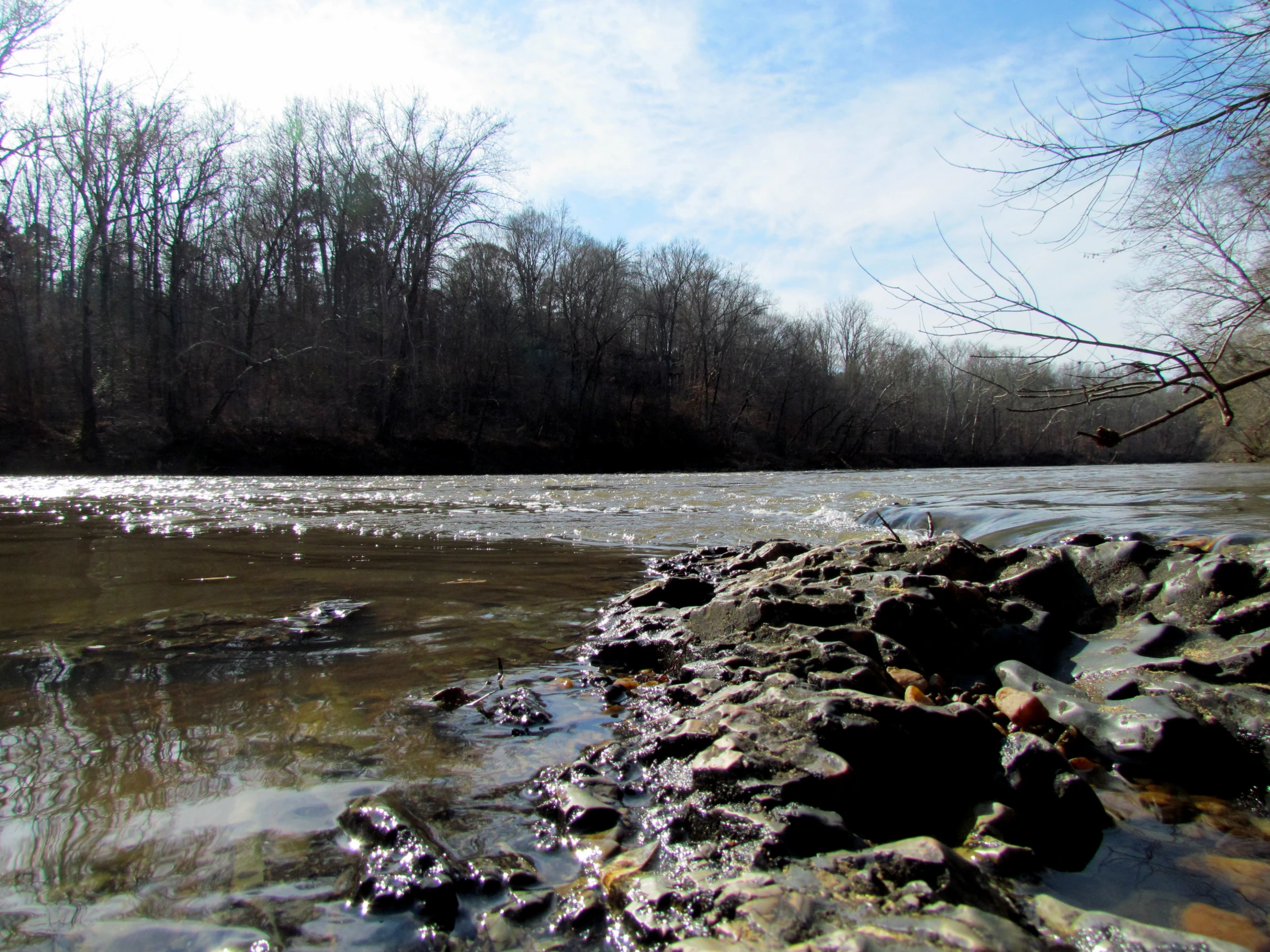 a river flowing near rocks next to a forest