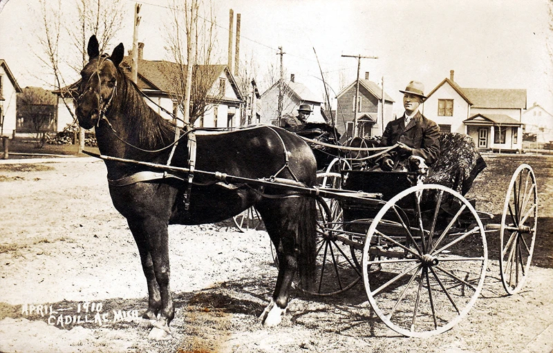 a man and two horses pulling a carriage