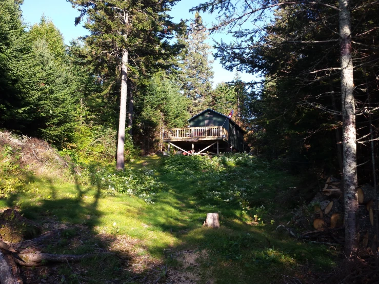 a cabin in the middle of a wooded area