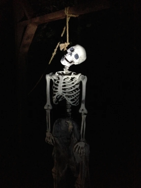 a skeleton is posed in a dimly lit room