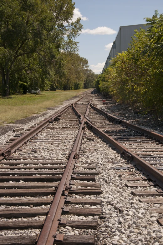 the railroad tracks are empty for people to look at