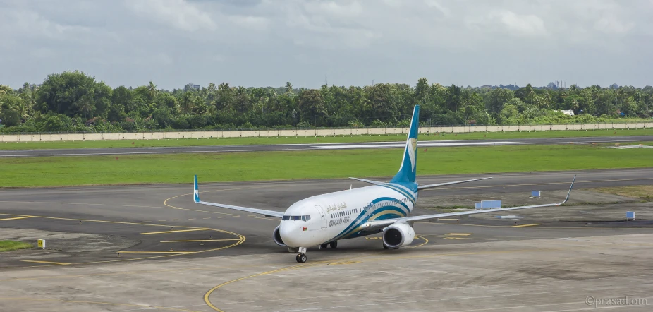 an airplane on the runway with grass and trees in the background