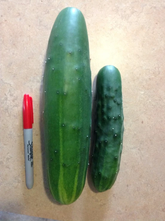 two cucumbers and a pen on a counter