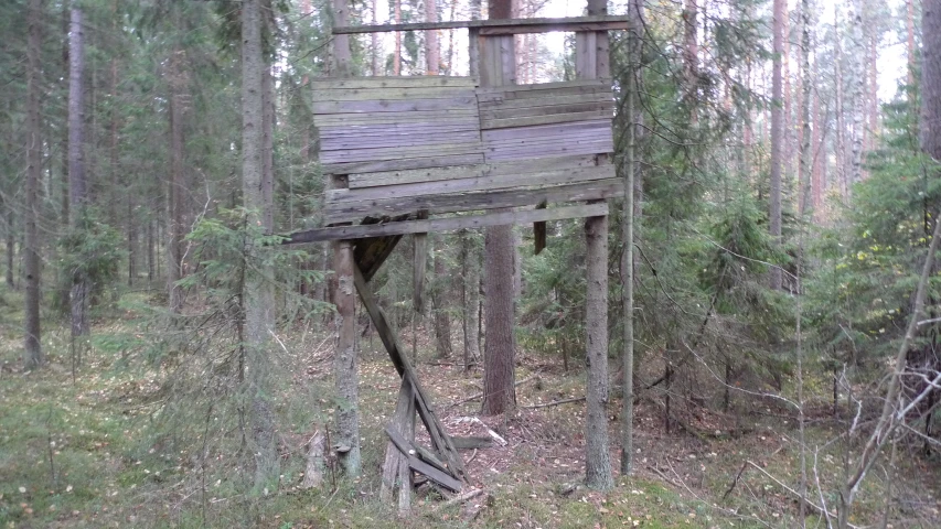 a wooden platform on trees in the woods