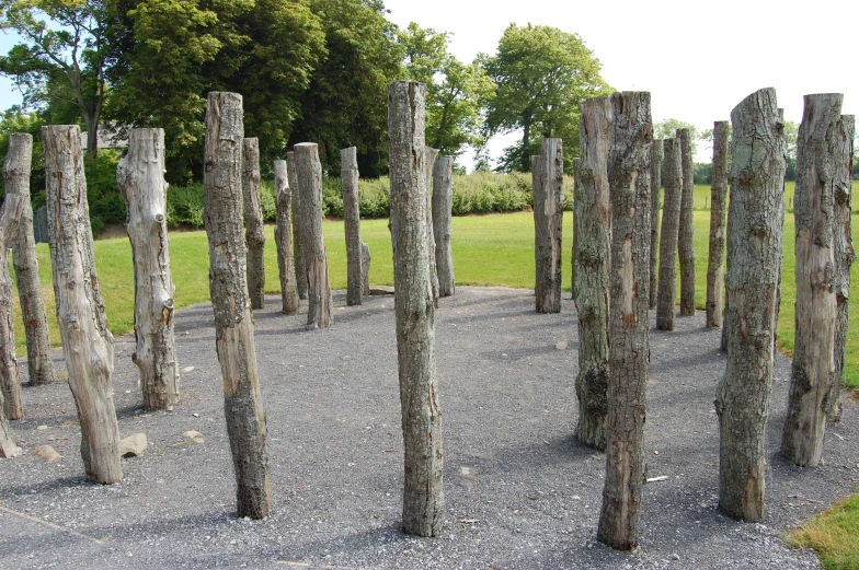 multiple wooden posts in gravel area with trees behind