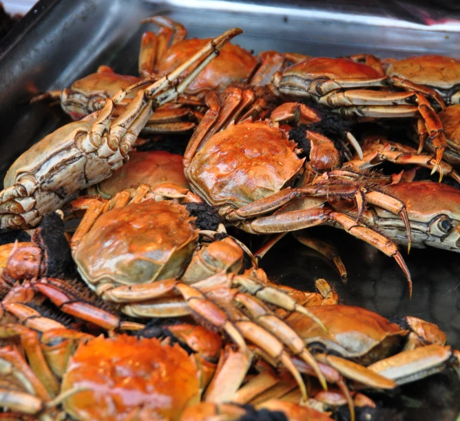 a pile of raw blue crabs on top of a grill