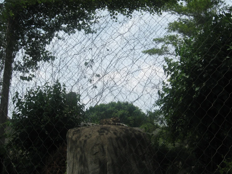 there is a tall rock behind a chain link fence