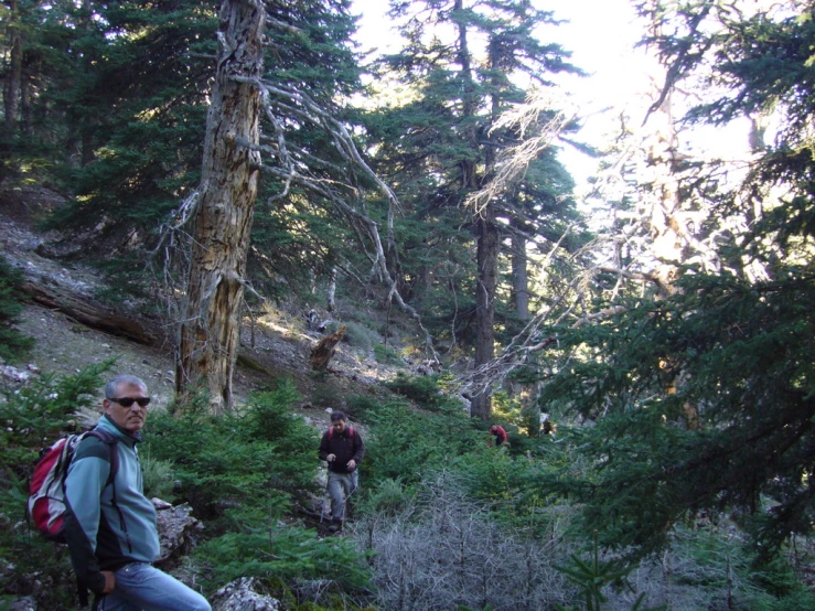 a man hiking on a trail with trees on both sides of the path