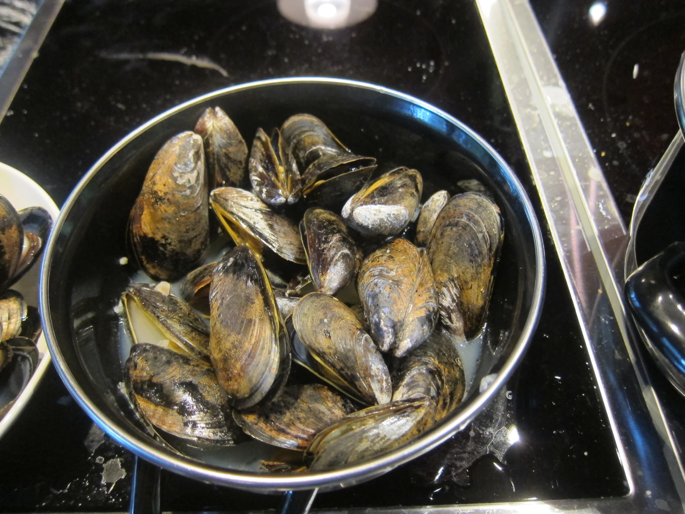 a pan full of steamed clams cooking on an open burner