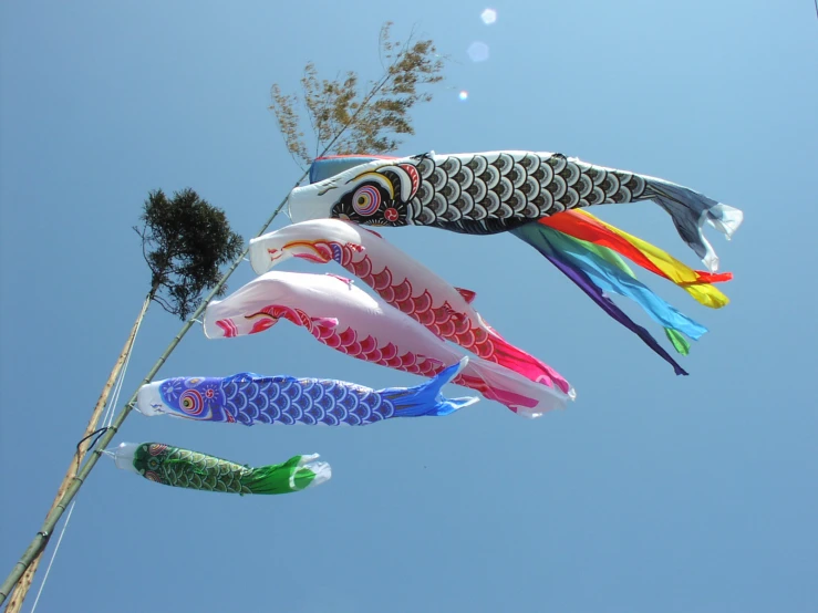 three colorful kites in the air with trees in the background