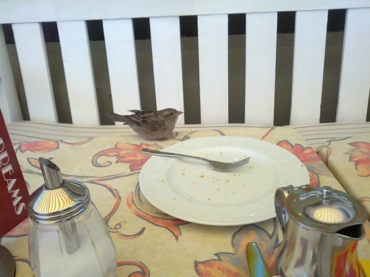 the small bird is resting on the plate