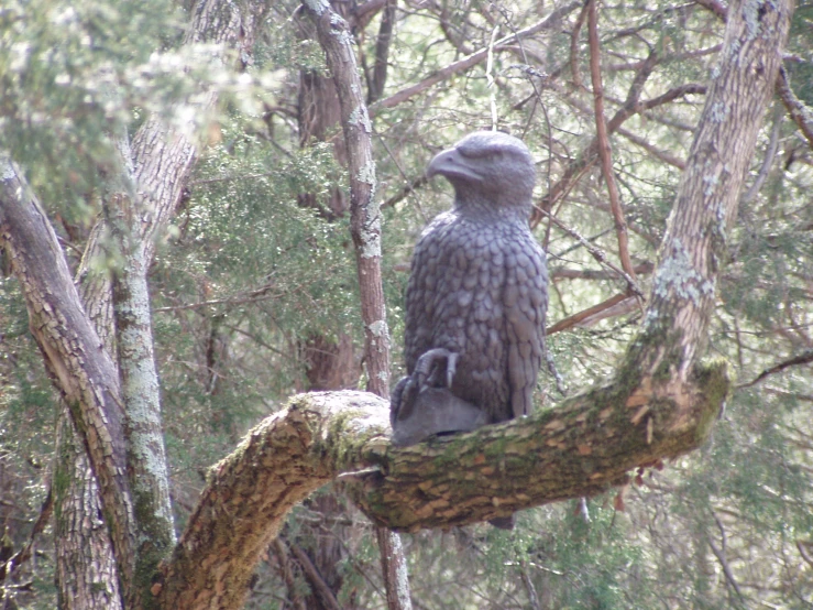 a bird sitting on the nch of a tree