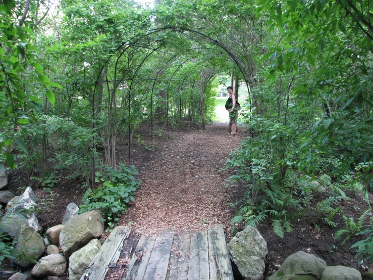 a walk way through the woods with rock and grass