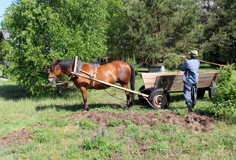 a man using a plow to remove grass from the ground