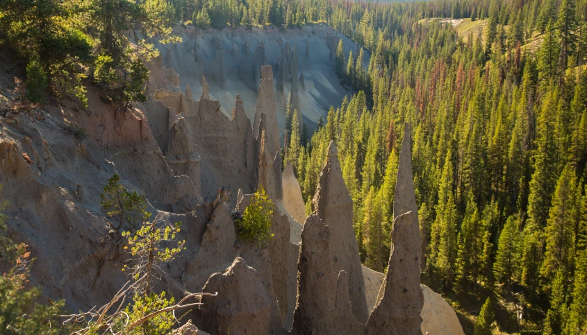 an overlook from a high mountain of pine trees and cliffs