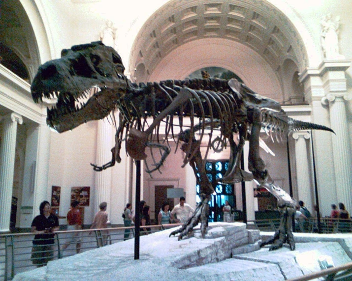 a giant dinosaur is in a museum like space