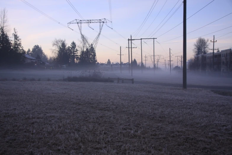 power lines and telephone poles with fog on the ground