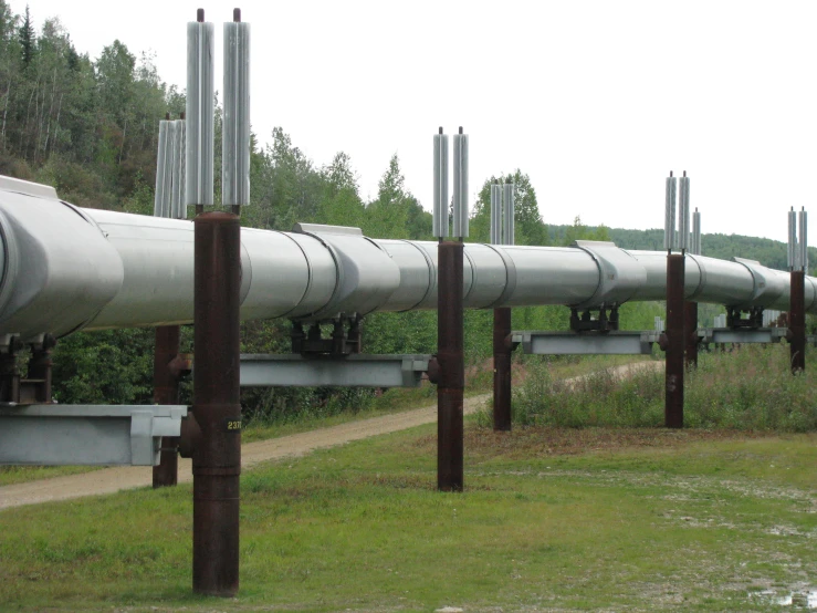 a set of gray pipeline rails in a forest
