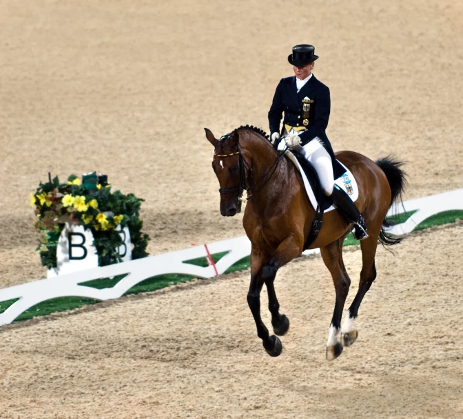 a rider and his horse in an outdoor show