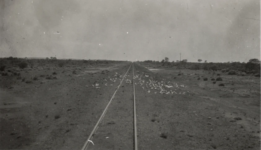 a train track running through a barren landscape