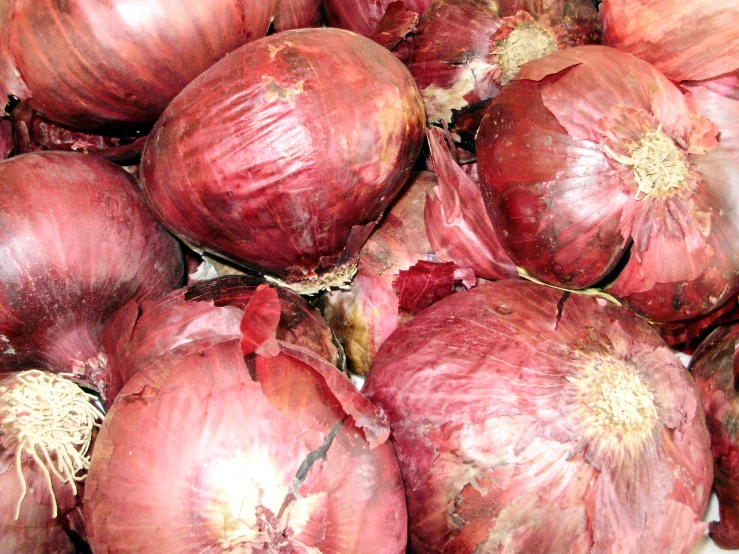 red onions with peeling and dirt on top