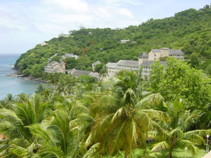 a scenic mountain and tropical beach area