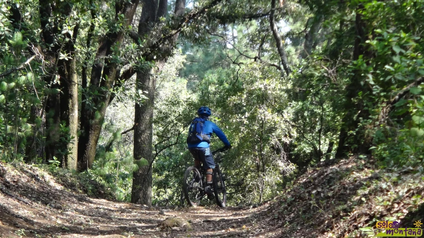 a man riding a bike through a lush green forest