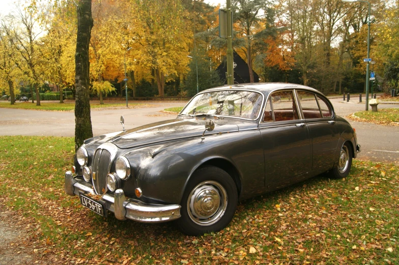 an old, black car parked in the park near trees