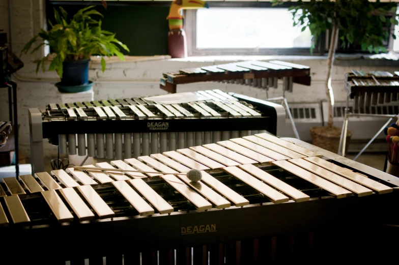 rows of musical keyboards in a room next to plants
