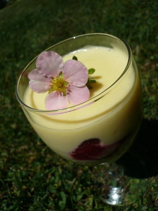 a glass filled with liquid and flowers sitting on the grass