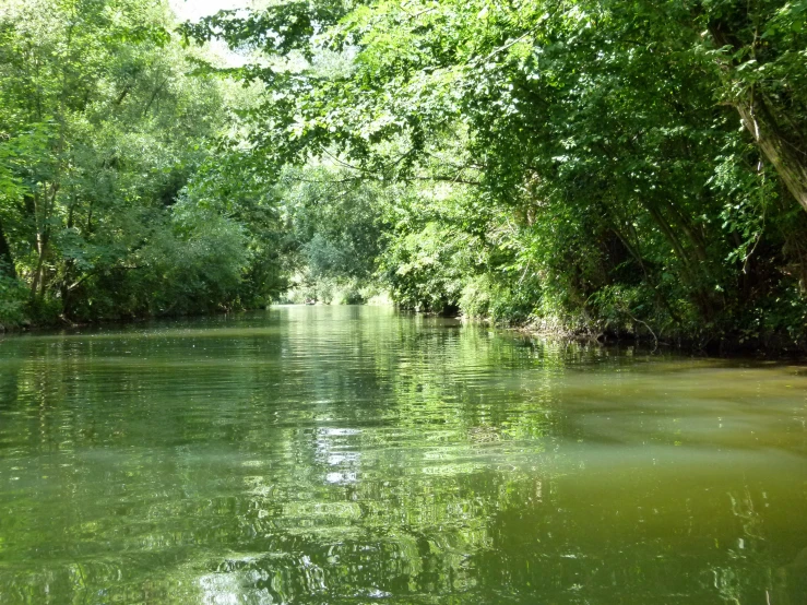 the small river is full of clear water