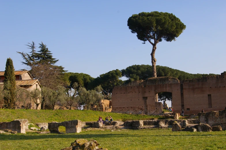 people are in an area with ruins and trees