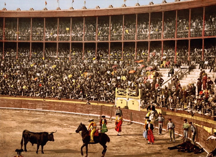 a group of people watching a bullfight