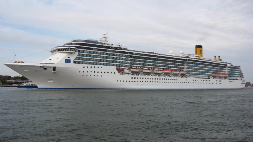 the large cruise ship is anchored at sea