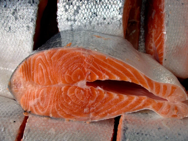 some fish pieces are lined up on ice