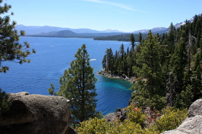 a picture of trees that are near water