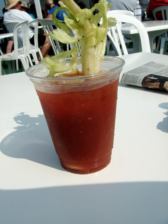 the sun is shining on the table with a beverage