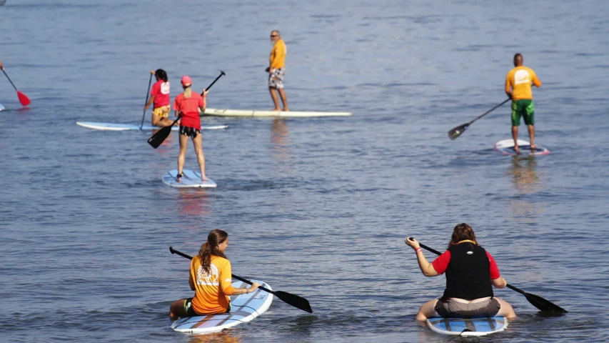 people in surf boards paddling on the water