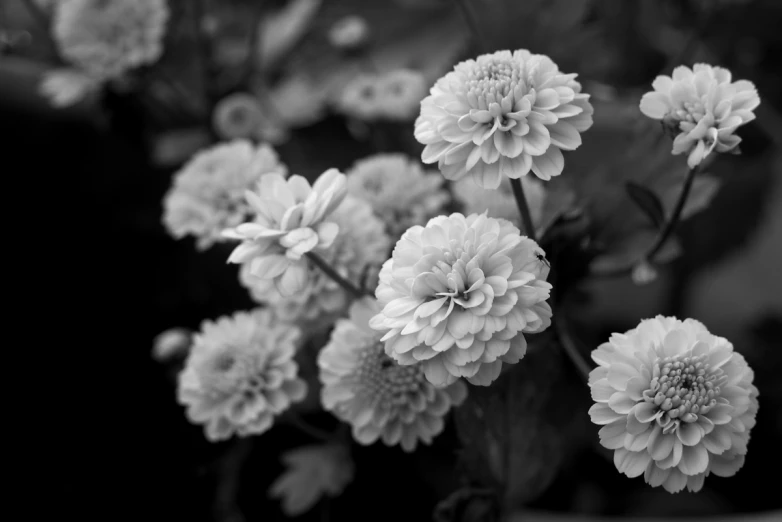 an image of a black and white flower bouquet