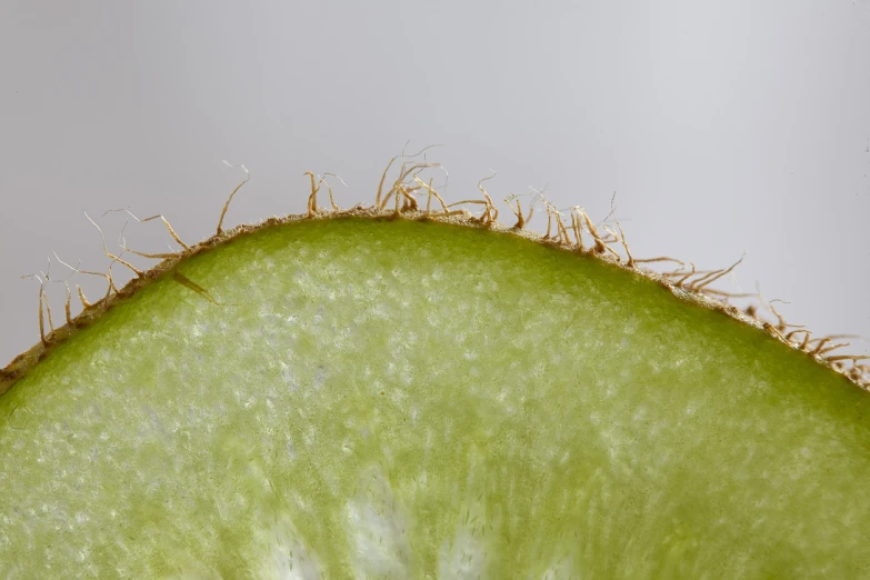 a half - eaten lime that is cut open in slices