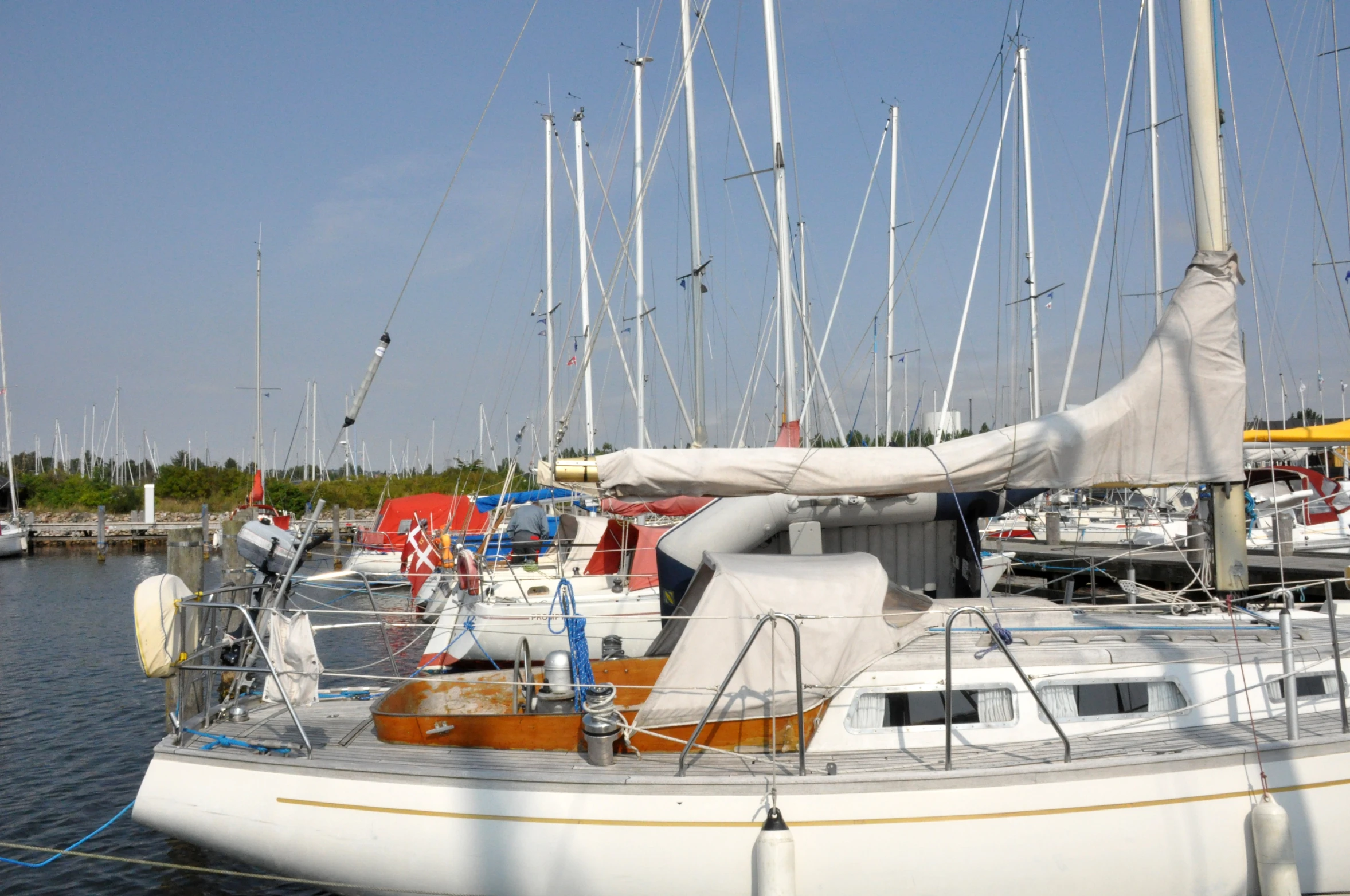 a lot of sailboats in a harbor with lots of sails