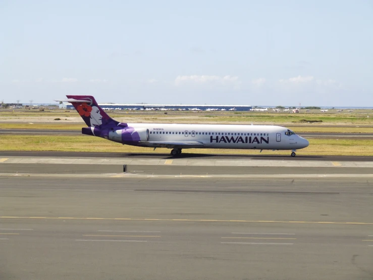 a hawaiian airlines jet on an airport runway