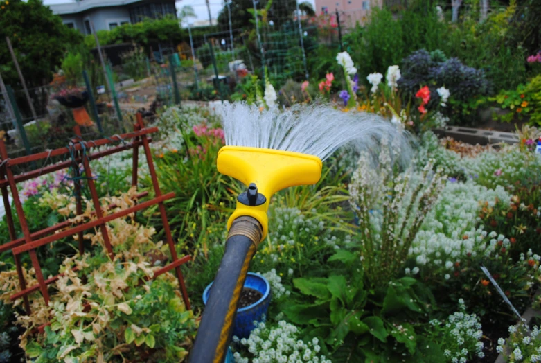 an image of a garden setting with flowers and watering hose