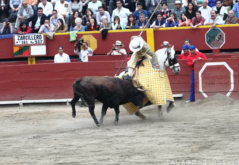 man trying to rope a bull in a rodeo