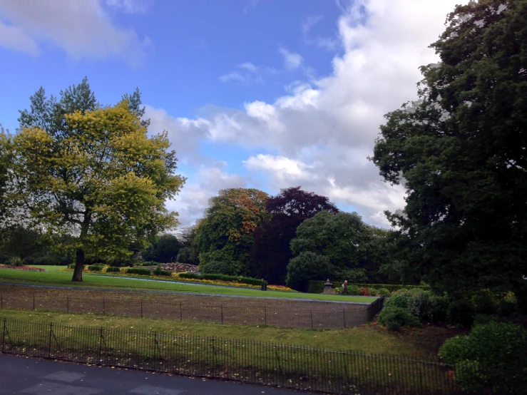 a green field filled with lots of trees