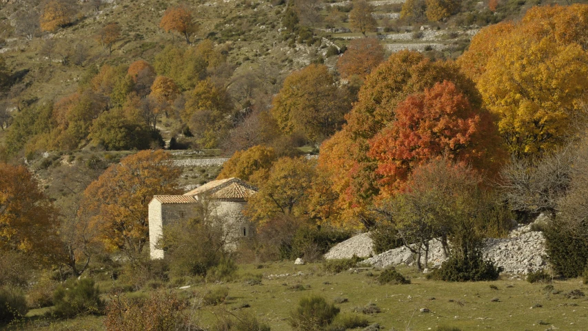 the village stands in the fall colored wooded area