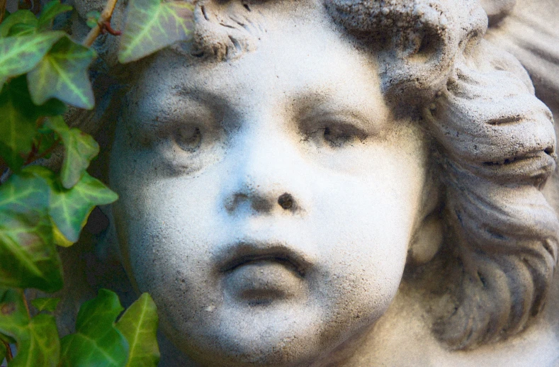 a closeup view of a statue with ivy growing on it